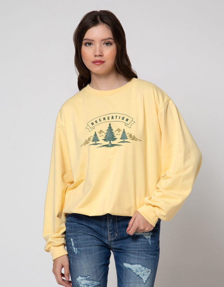 Nevada Sweatshirt Recreation