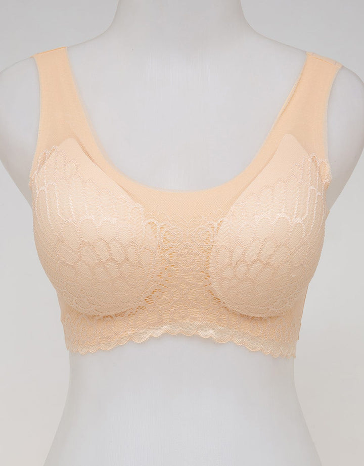 NEW KATE SWEET LACE