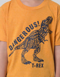 Little M Roar Dino Boys T-Shirt