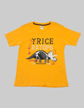 Little M Dinotrice Kaos Anak Laki-laki