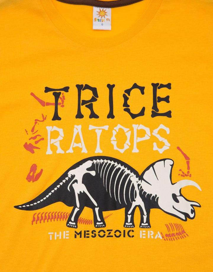 Little M Dinotrice Kaos Anak Laki-laki