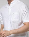 Walrus Plain Shirt Studio