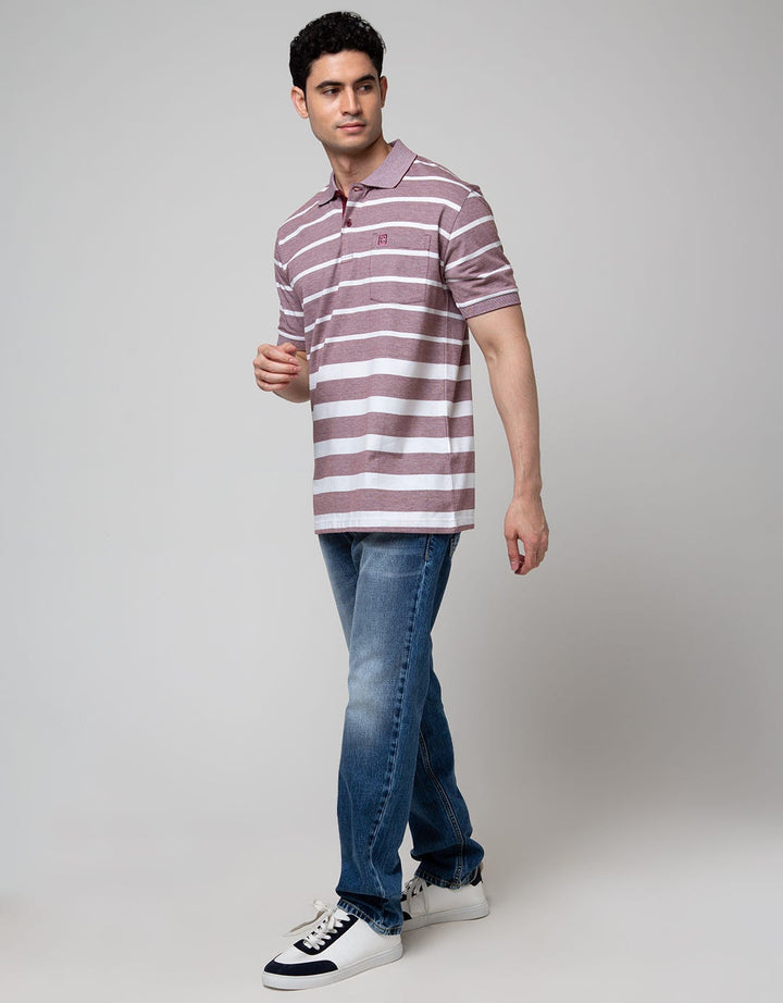 Cole Short Sleeve Polo Shirt Stripe Engineering Mix