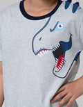 Little M Dino Cucuk Boys Clothing Set