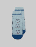 SOCKS KK BOYS BEAR T