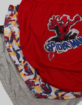 Marvel Cd Pack Of 3 Spiderman