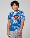 Character Superman Logo Boys T-shirt