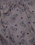 Kidz Too Cd Print Dino Outline