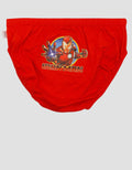 Image 4