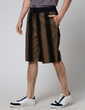 Nevada Verti Stripe Men's Shorts