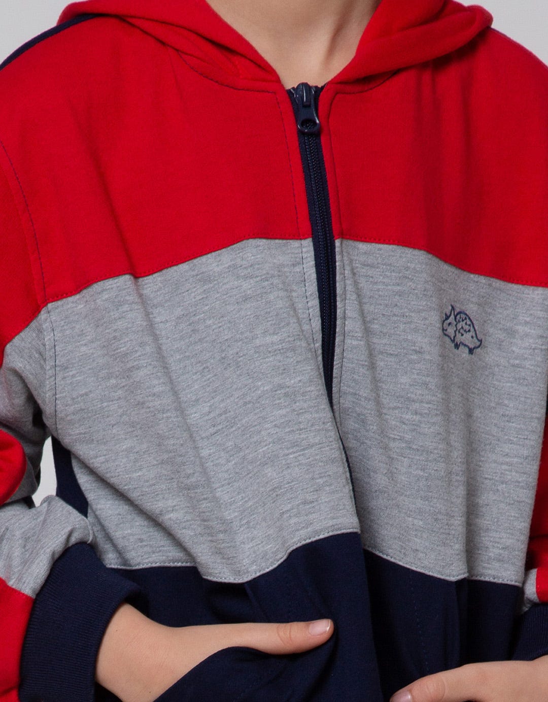 Little M Dino Embroidered Terry Jacket