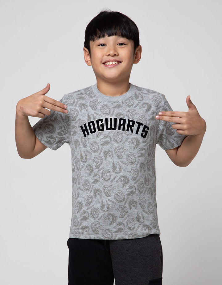 Character Short Sleeve T-Shirt Harry Potter Fp Hogwarts
