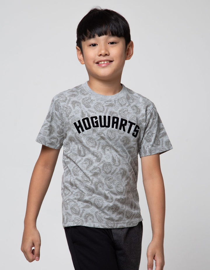 Character Short Sleeve T-Shirt Harry Potter Fp Hogwarts
