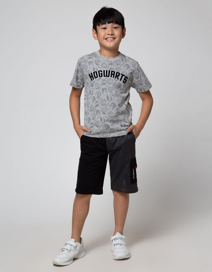 Character Short Sleeve T-Shirt Harry Potter Fp Hogwarts
