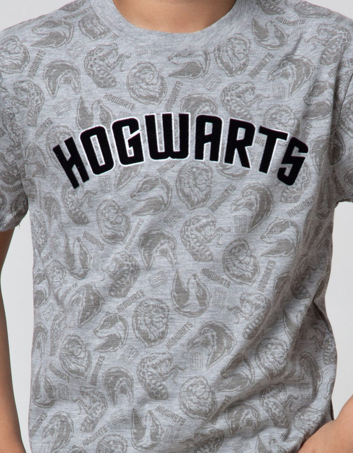 Character Short Sleeve T-Shirt Harry Potter Fp Hogwarts