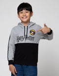 Character Sweater Harry Potter Hood Logo