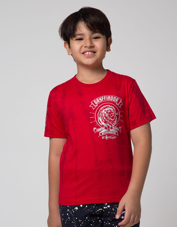 Character T-Shirt Harry Potter Logo Tulisan