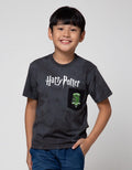Character T-Shirt  Harry Potter Tulisan