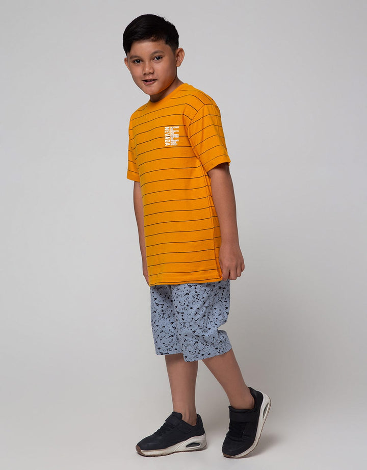 Nevada Stripe Print Boys T-Shirt