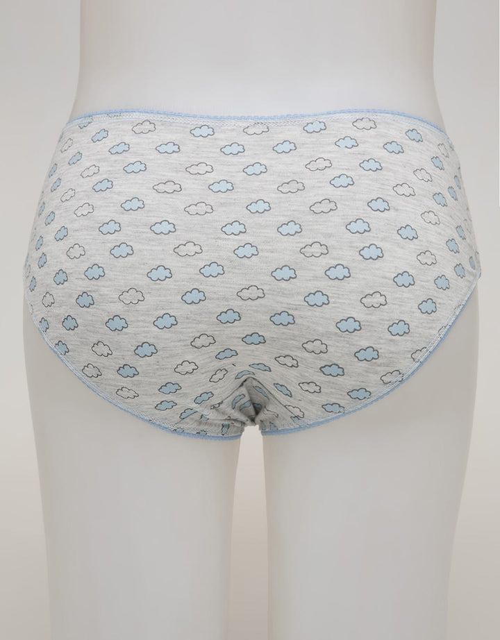 Nevada Midi Briefs Panty Aop Cloud Outline