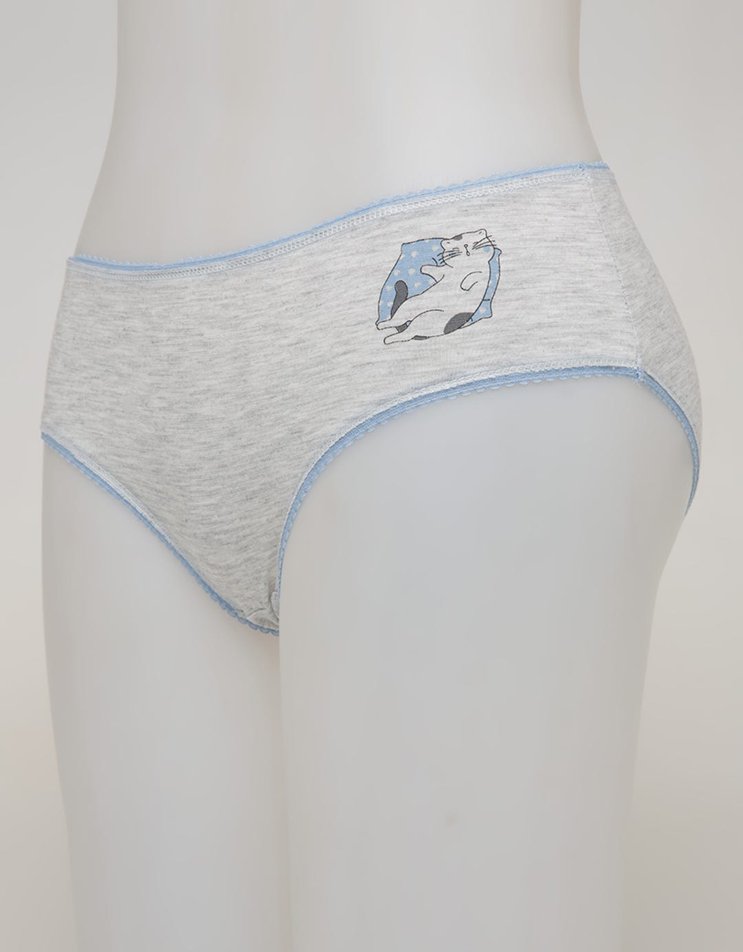 MIDI BRIEFS PANTY LA