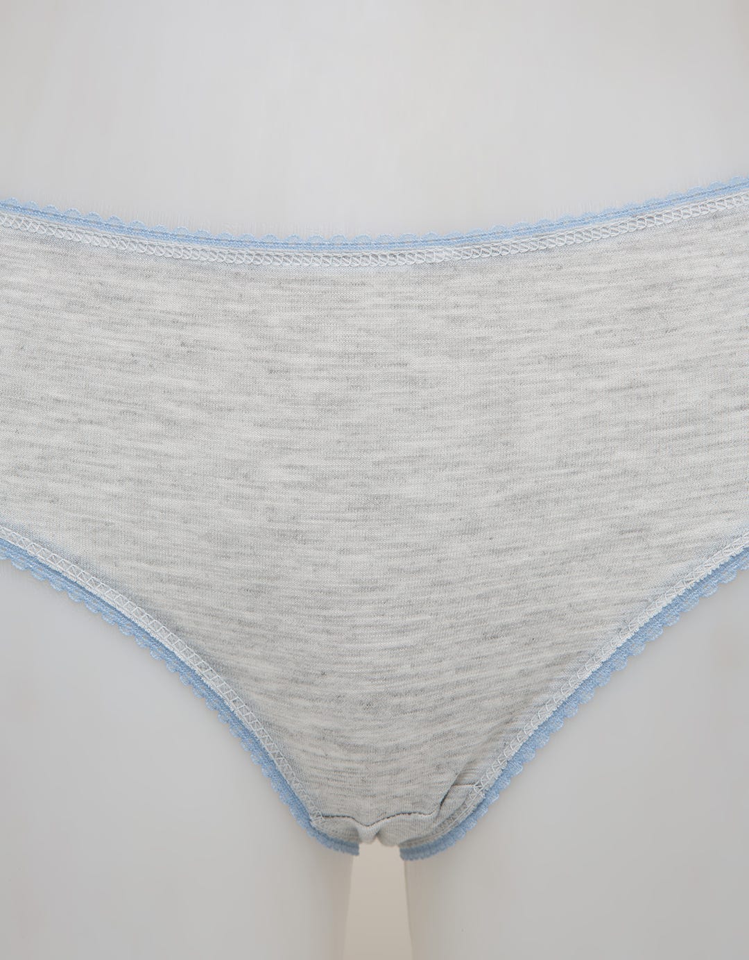 MIDI BRIEFS PANTY LA