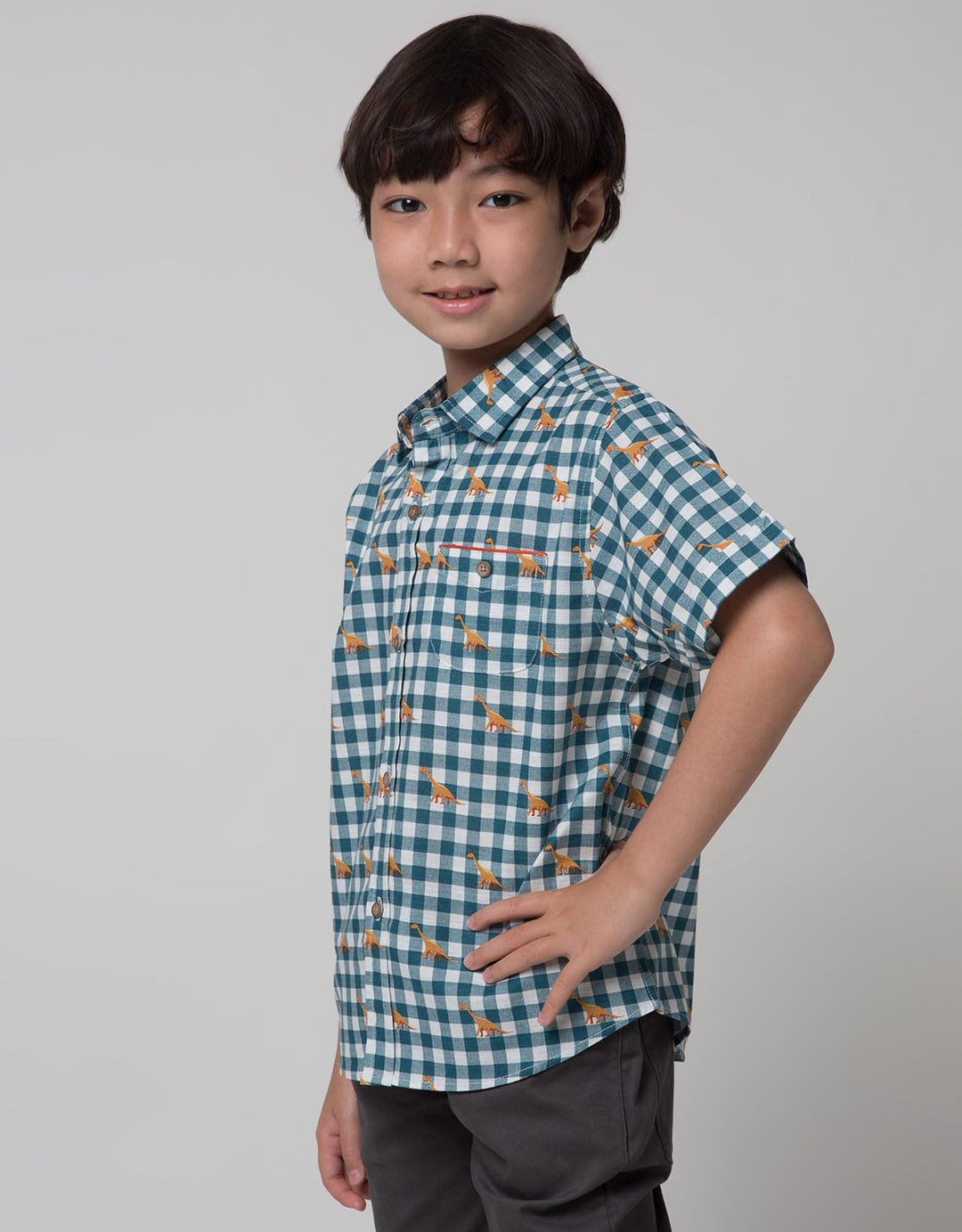 Little M Short Sleeve Shirt Print Dino Check Linen