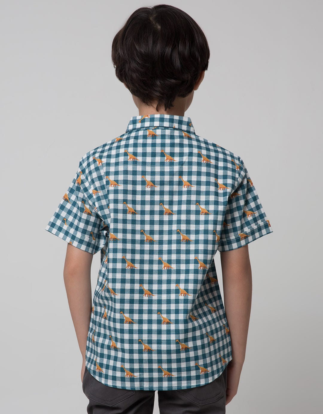 Little M Short Sleeve Shirt Print Dino Check Linen