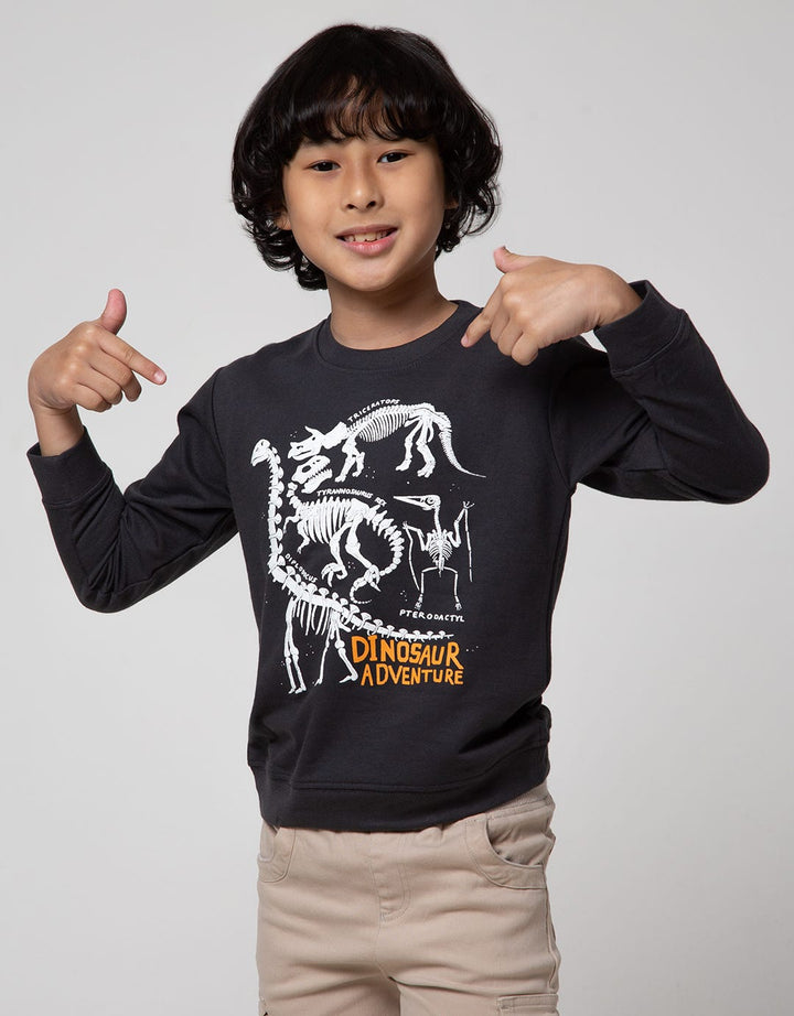 Little M Sweatshirt Dino Adventure