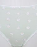 Nevada Midi Briefs Panty Aop Daisy