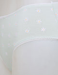 Nevada Midi Briefs Panty Aop Daisy