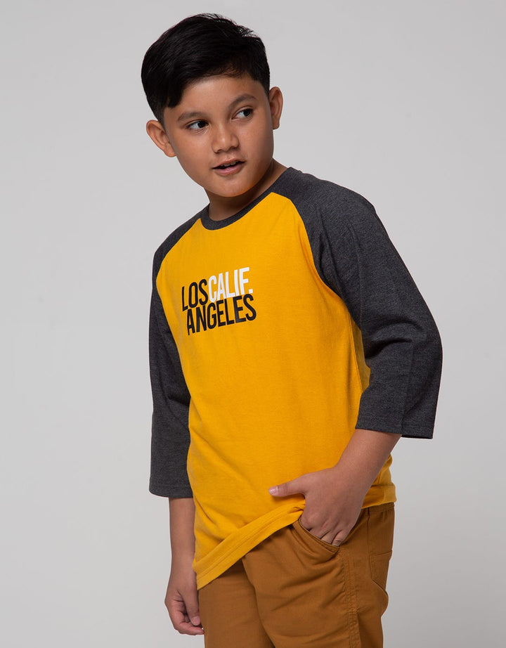 Nevada Long Sleeve T-Shirt 3/4 Raglan Los Calif