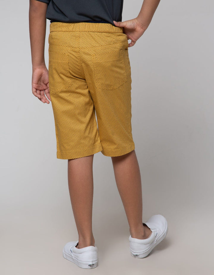 Nevada Short Pants Woven Geometri