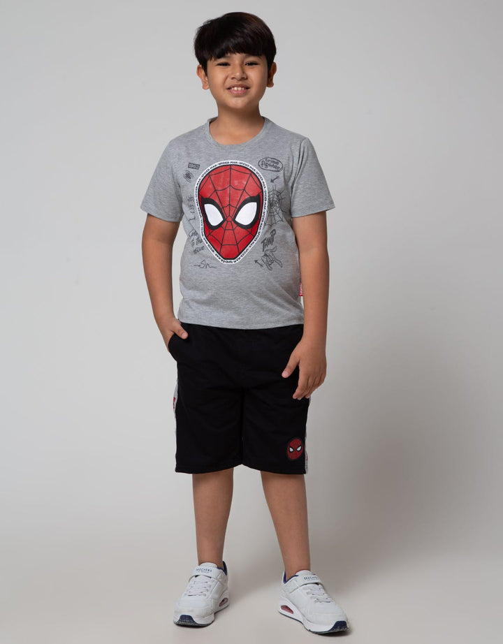 Marvel Spiderman Beyond Amazing Face