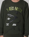 Little M Dino Foil Sweater Anak Laki-laki