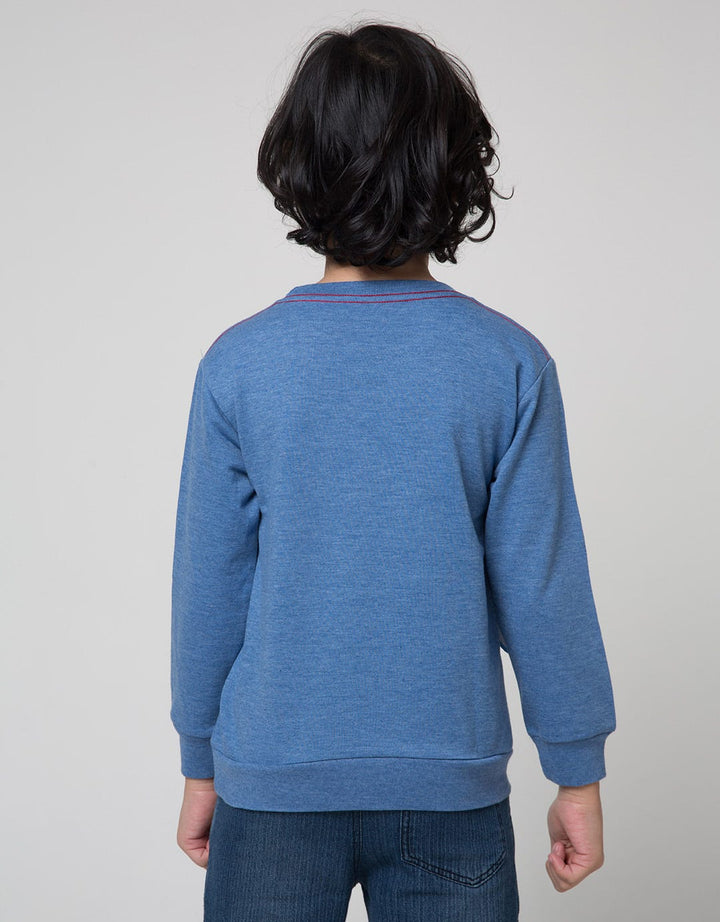 Little M Aps Tail Boys Sweater