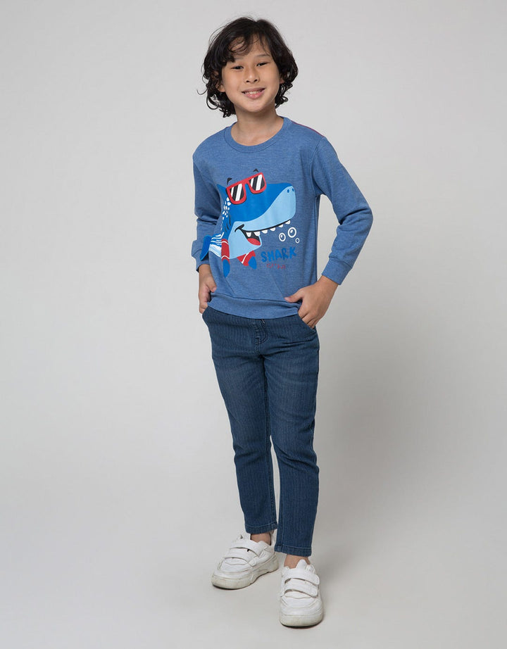 Little M Aps Tail Boys Sweater