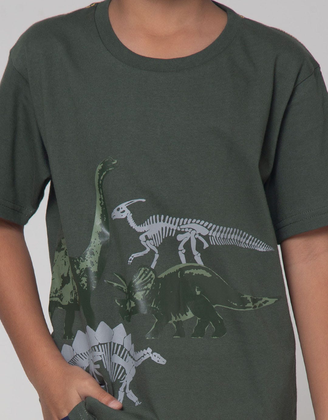Little M Best Buy Dino Kaos Anak Laki-laki