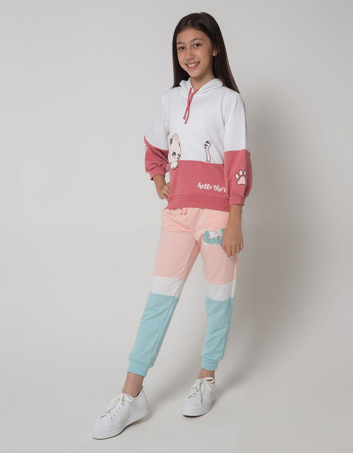 Aero Sweater Hoodie Kuping Cat Amiswcat1