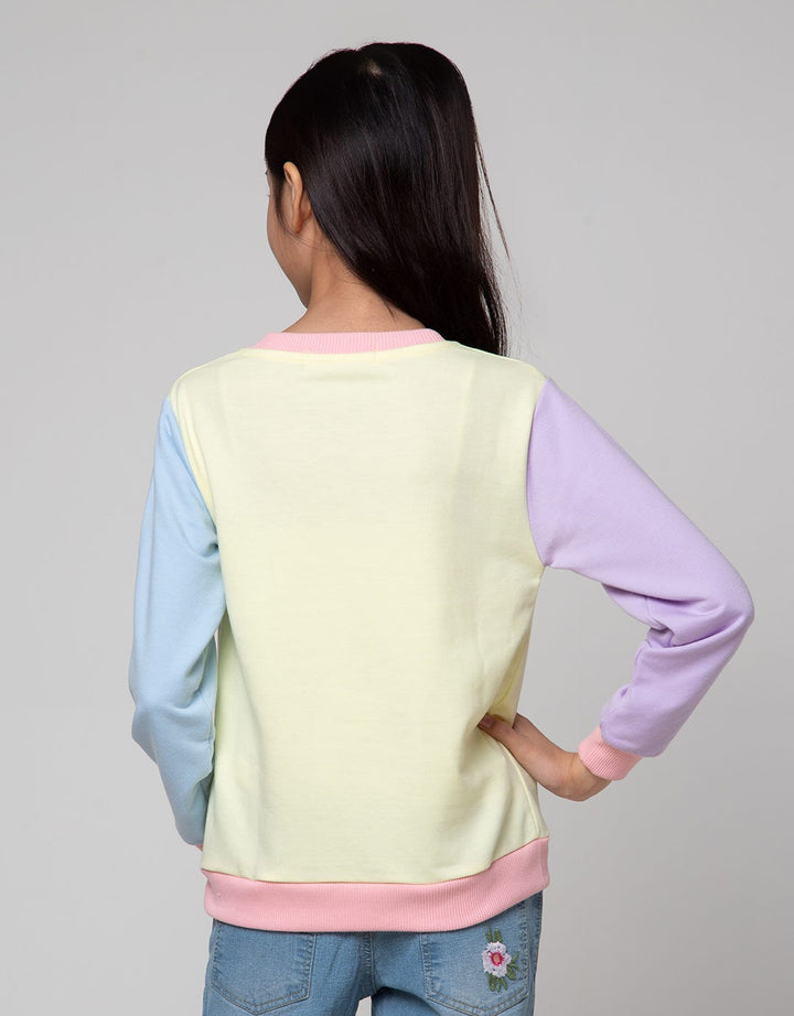 Aero Sweatshirt Color Block Cheerful Bunny