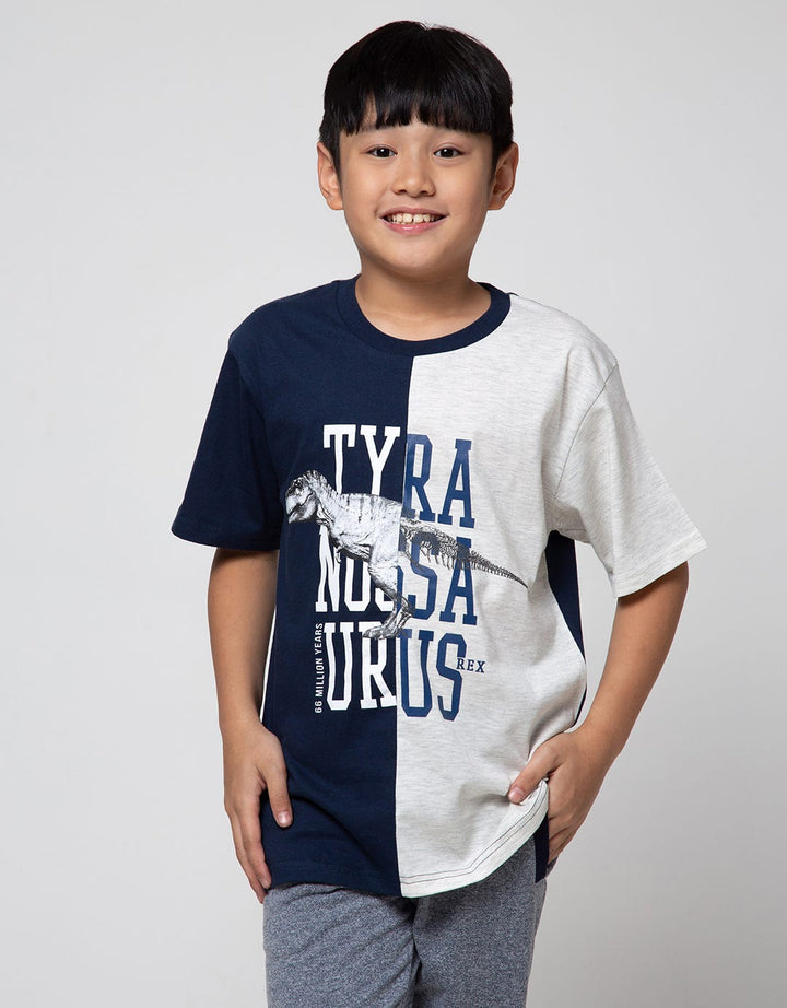 Aero Short Sleeve T-Shirt Print Regu Cns Tyra