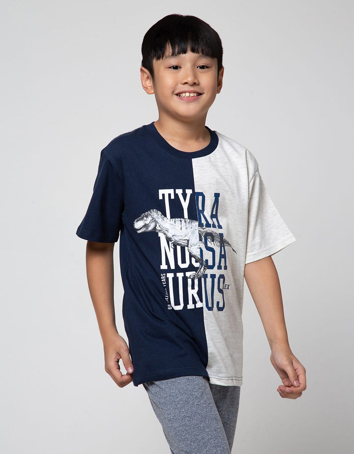 Aero Short Sleeve T-Shirt Print Regu Cns Tyra