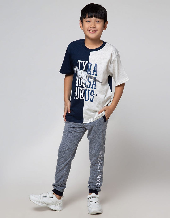 Aero Short Sleeve T-Shirt Print Regu Cns Tyra