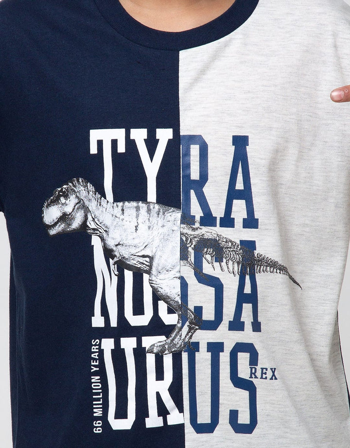 Aero Short Sleeve T-Shirt Print Regu Cns Tyra