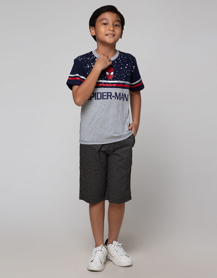 Marvel T-Shirt Spiderman Face Cutsewn Splash Stripe