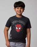 Marvel Spiderman Head Boys T-Shirt