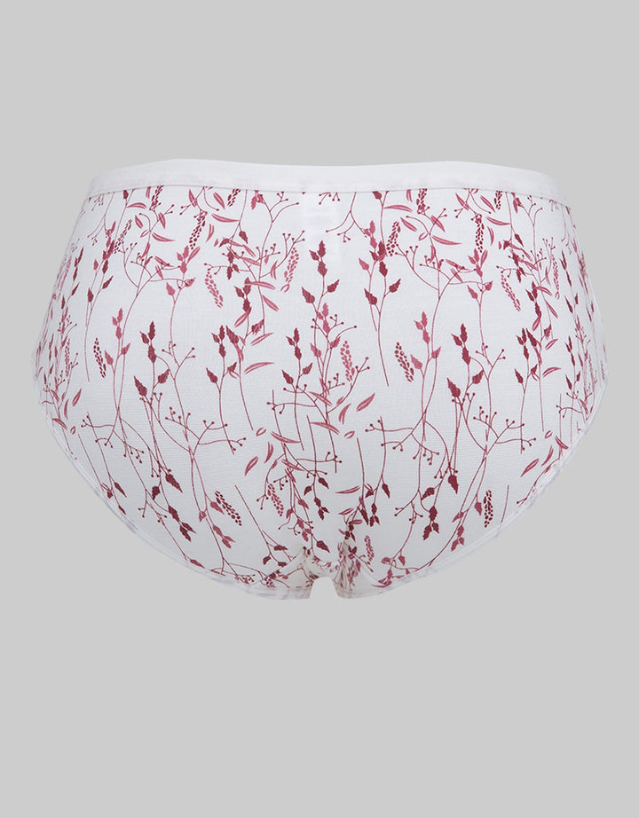 St. Yves Midi Briefs Panty Pack Seeds Pboxseed