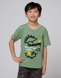 Little M Flocking Awesome Boys T-Shirt