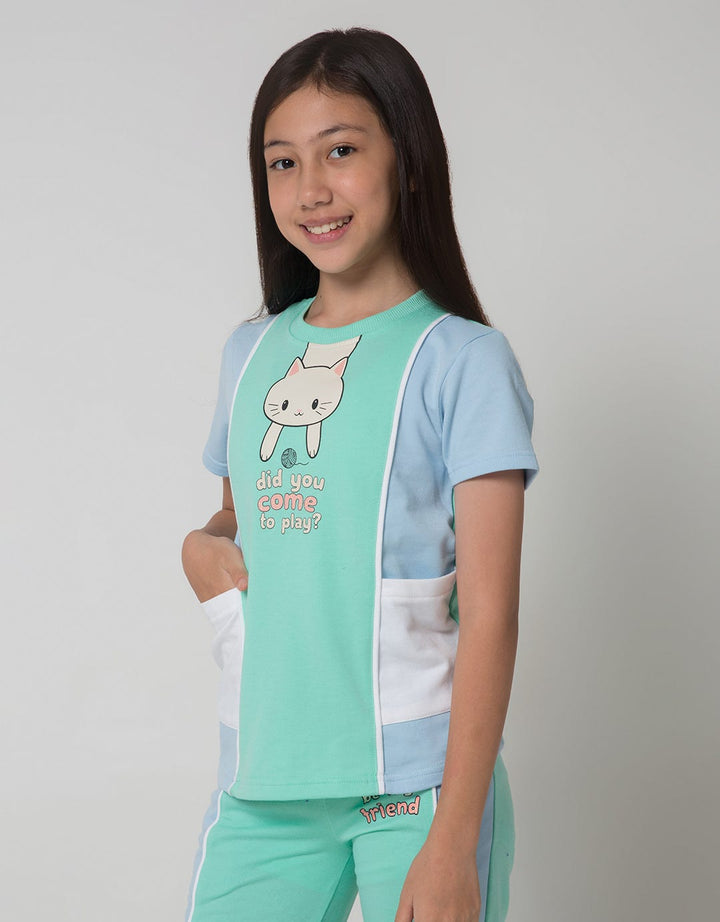 Aero Short Sleeve T-Shirt Cut Sew Cat Friend