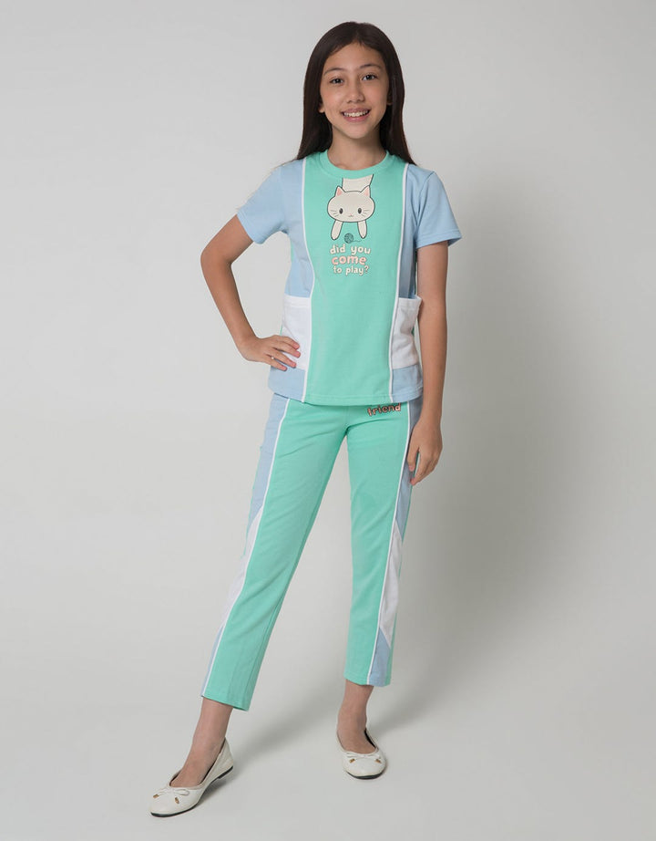 Aero Short Sleeve T-Shirt Cut Sew Cat Friend